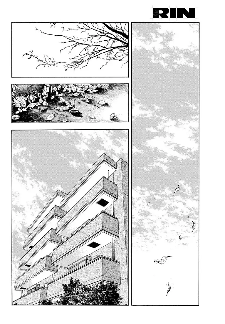 Rin (HAROLD Sakuishi) Chapter 39 4